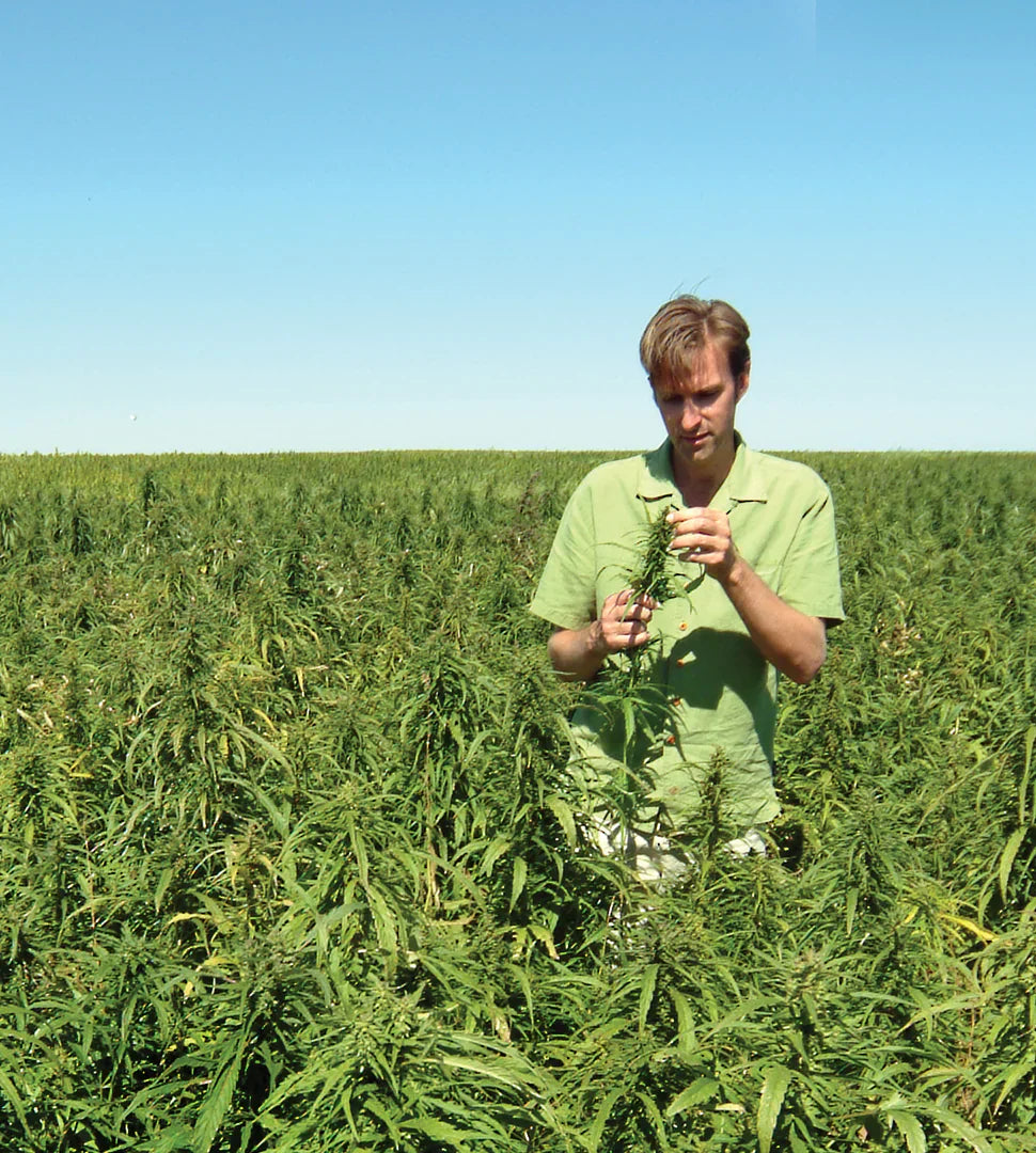 Understanding the Hemp Farming Act of 2018