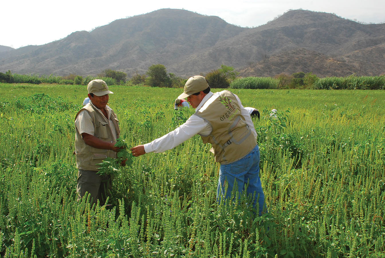 What Is USDA Organic?