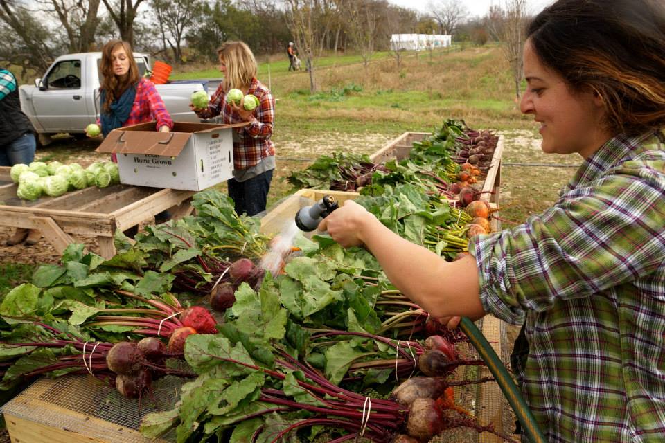 The Benefits of Growing & Eating Organic