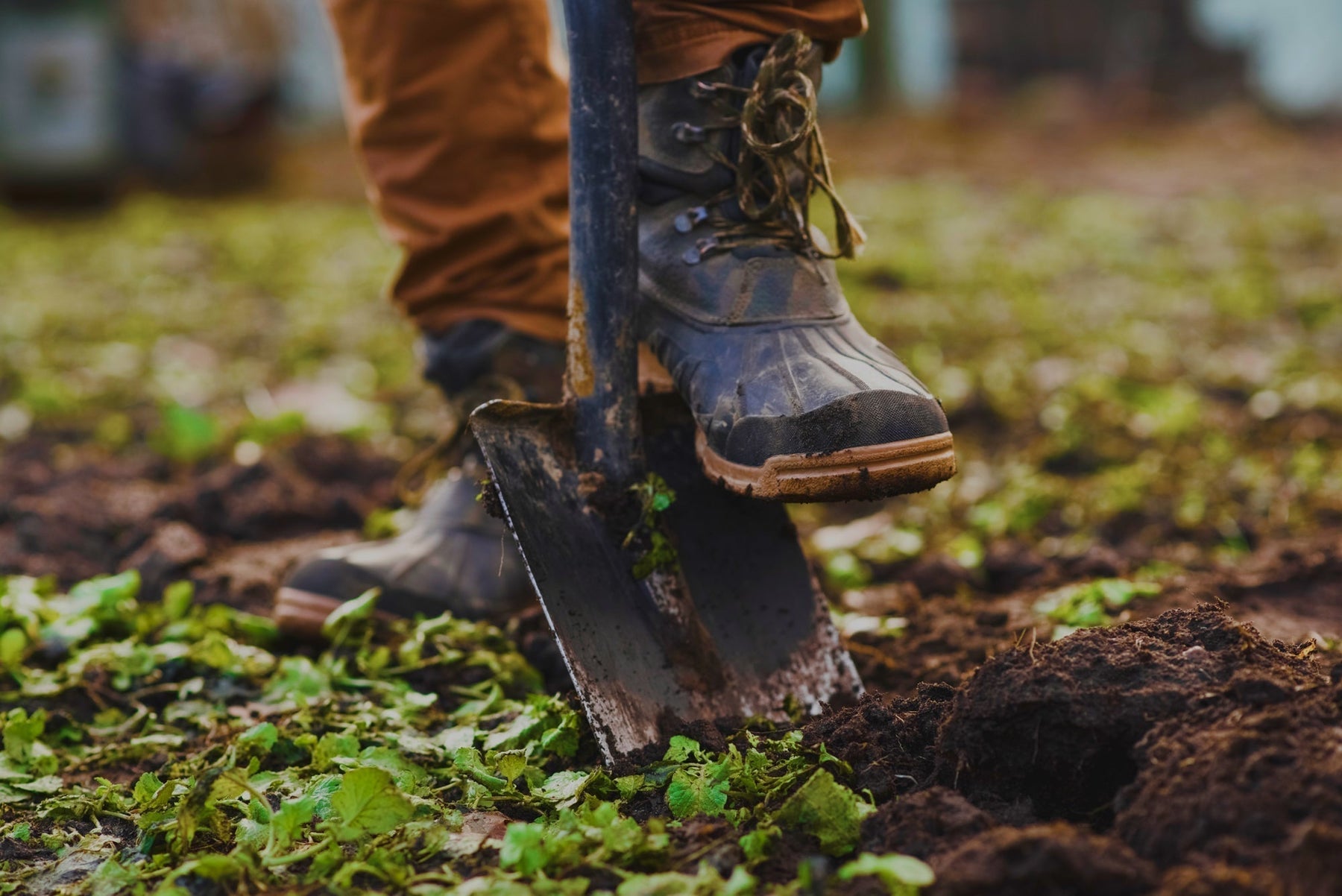 Rethinking Food Waste